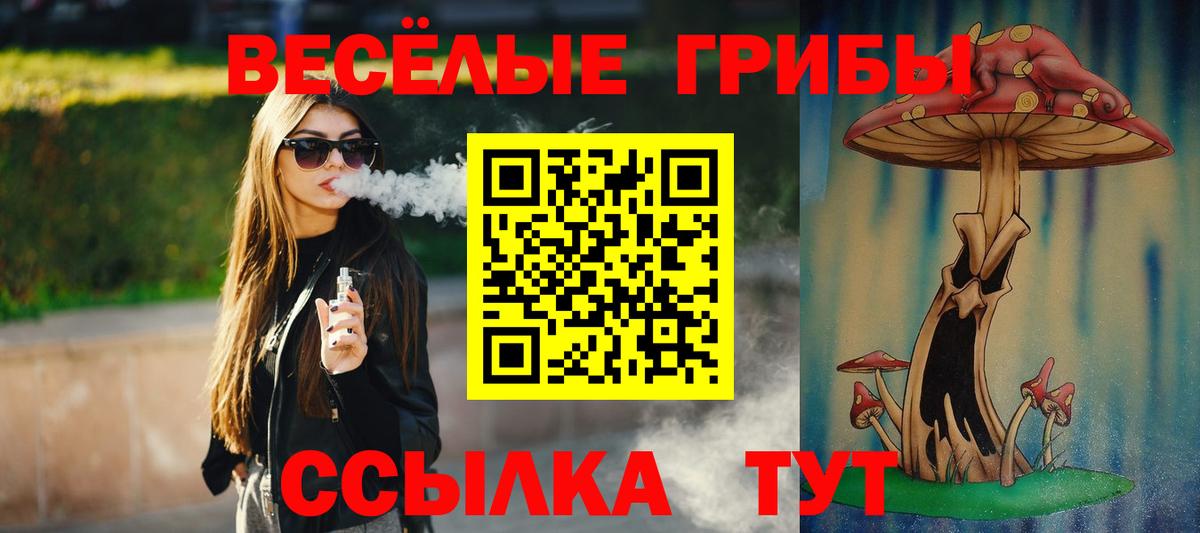 Балтийск  Псилоцибиновые грибы прущие грибы  Вход с VPN 